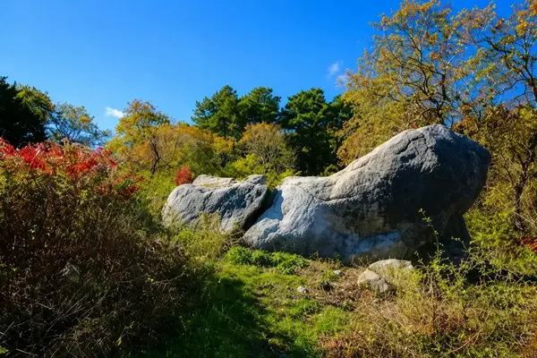 Cape Cod conservation landscape