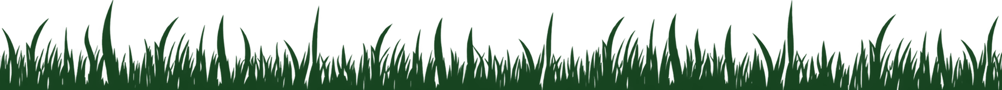 Thin strip of dark green grass silhouettes along the bottom edge on a transparent background